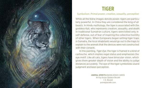 Animal Spirits Knowledge Cards - Image 3