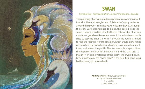 Animal Spirits Knowledge Cards - Image 4