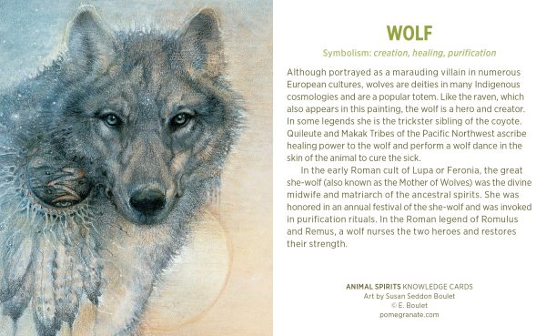Animal Spirits Knowledge Cards - Image 5