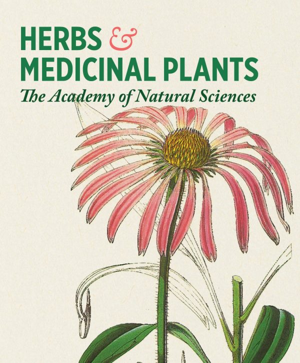 Herbs and Medicinal Plants Knowledge Cards - Image 2