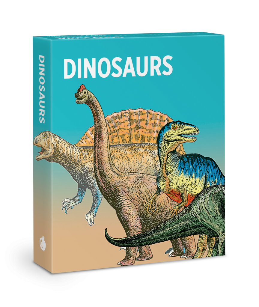 Dinosaurs Knowledge Cards