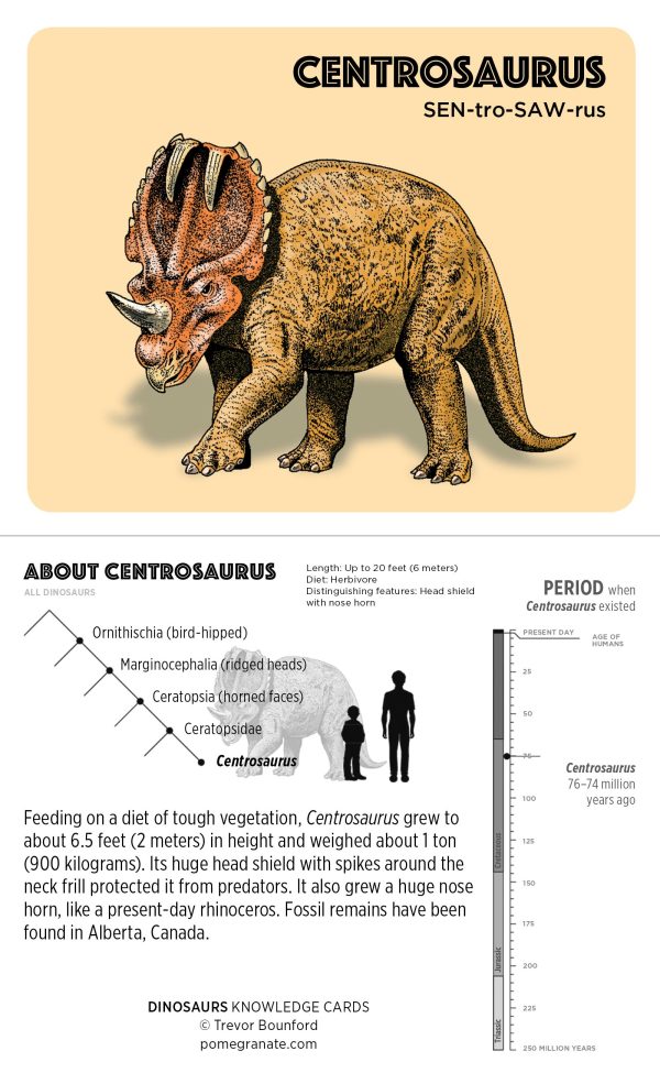 Dinosaurs Knowledge Cards - Image 5