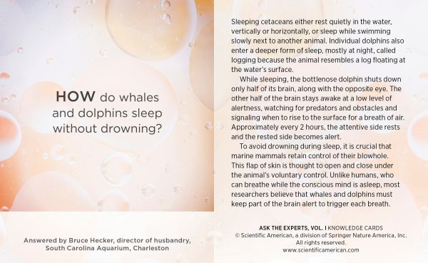 Ask the Experts: Mind-Blowing Answers to Science Questions. Vol. 1 Knowledge Cards - Image 4