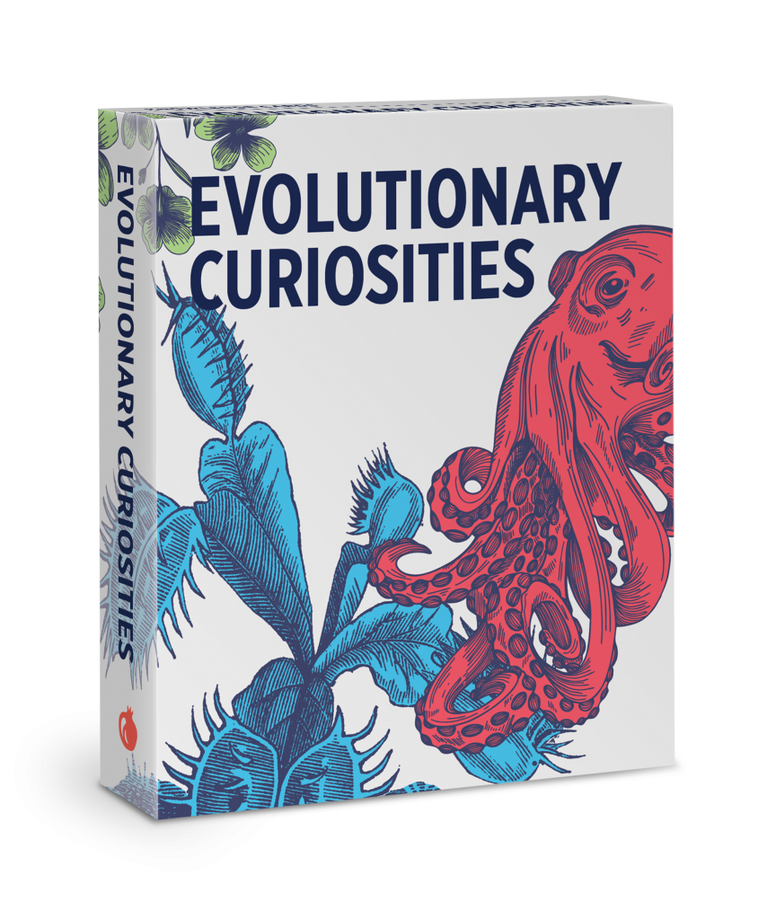 Evolutionary Curiosities Knowledge Cards