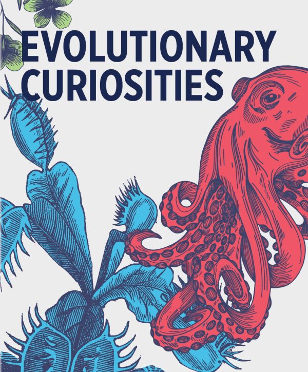Evolutionary Curiosities Knowledge Cards - Image 2