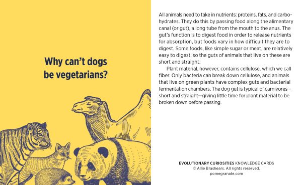 Evolutionary Curiosities Knowledge Cards - Image 3