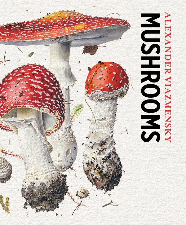 Mushrooms: Alexander Viazmensky Knowledge Cards - Image 2