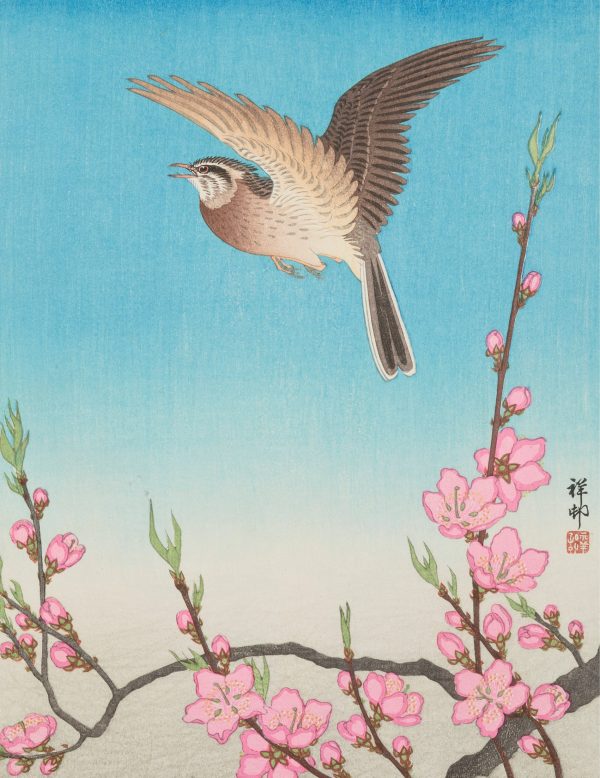 Ohara Shōson Keepsake Boxed Notecards - Image 5