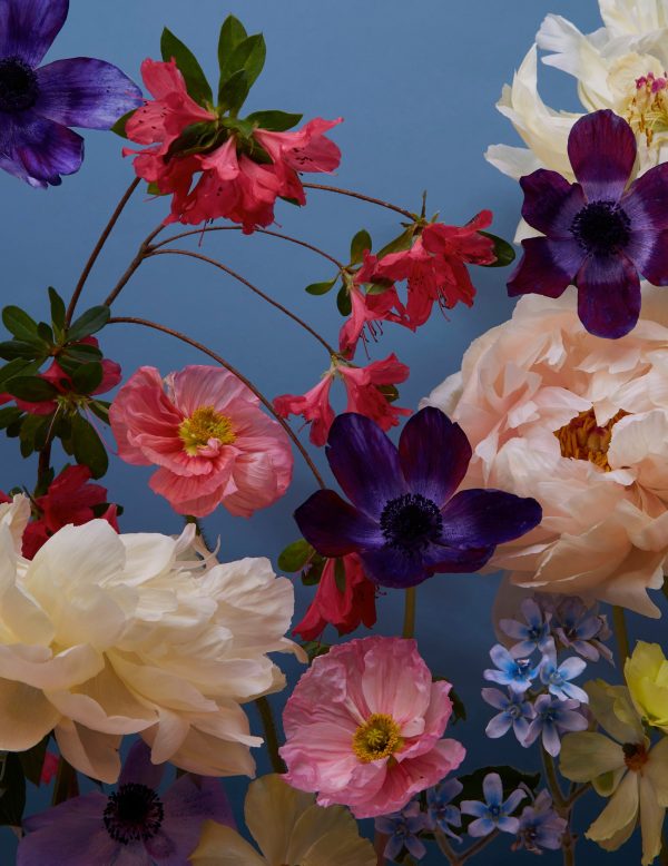 Doan Ly Flowers Keepsake Boxed Notecards - Image 2