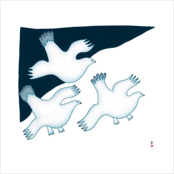Arctic Animals from Kinngait Memory Game - Image 2
