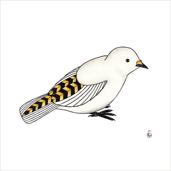 Arctic Animals from Kinngait Memory Game - Image 4