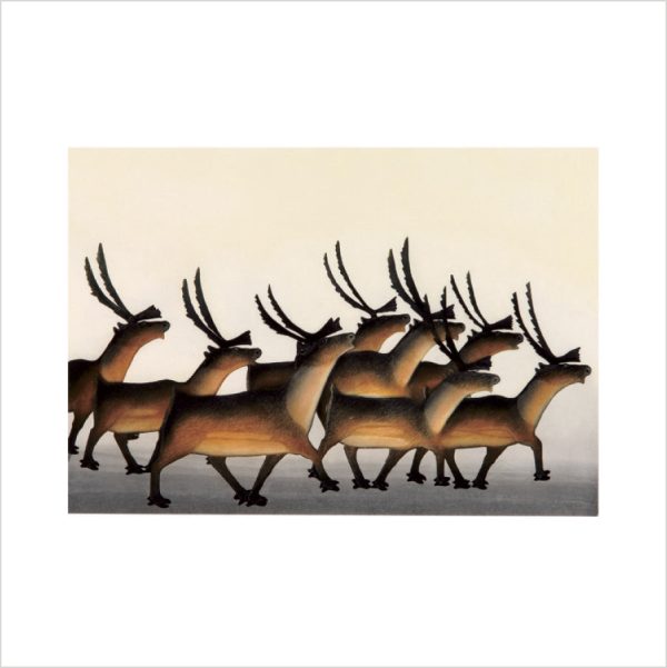 Arctic Animals from Kinngait Memory Game - Image 5