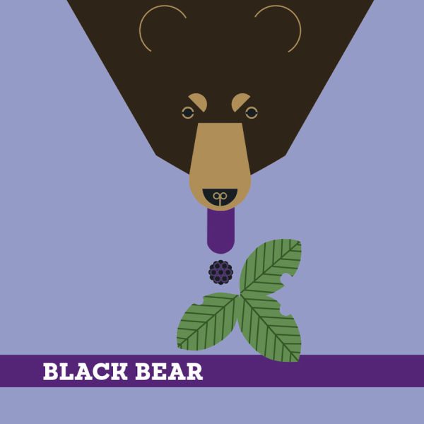 Charley Harper's Animals Memory Game - Image 2