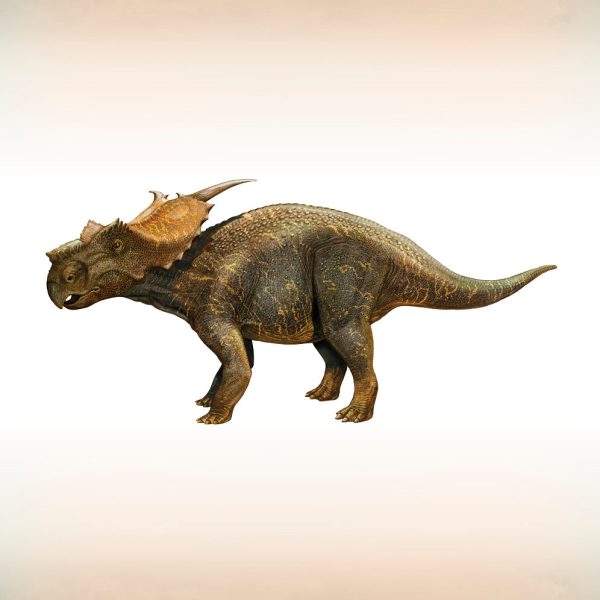 Sergey Krasovskiy: Dinosaurs Memory Game - Image 2