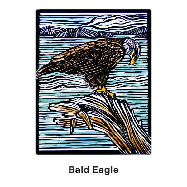 Molly Hashimoto: Birds Memory Game - Image 4
