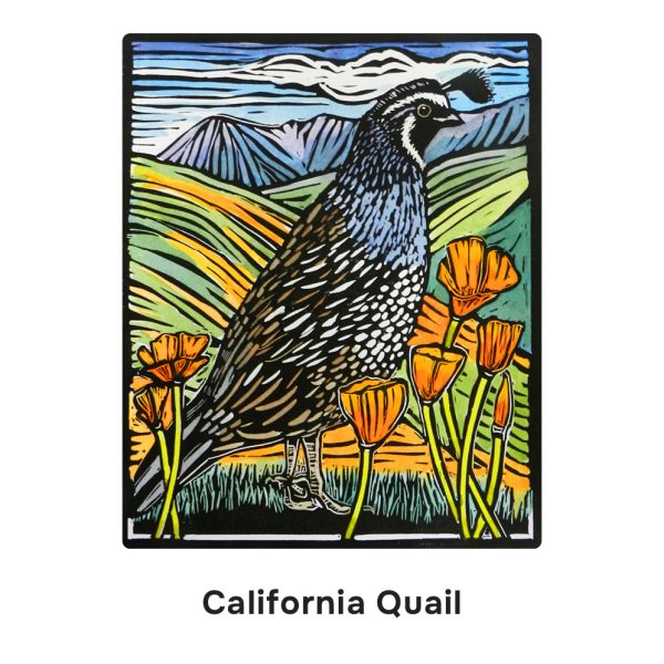 Molly Hashimoto: Birds Memory Game - Image 5