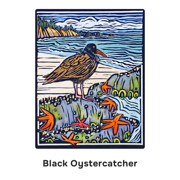 Molly Hashimoto: Birds Memory Game - Image 7