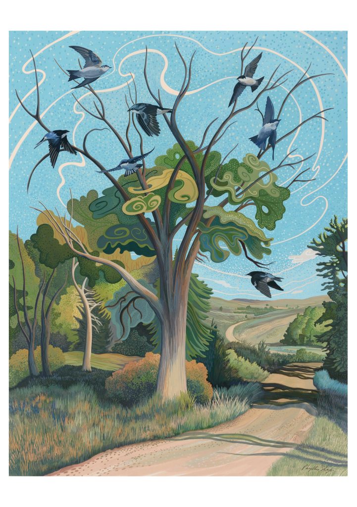 Phyllis Shafer: On the Wind Notecard