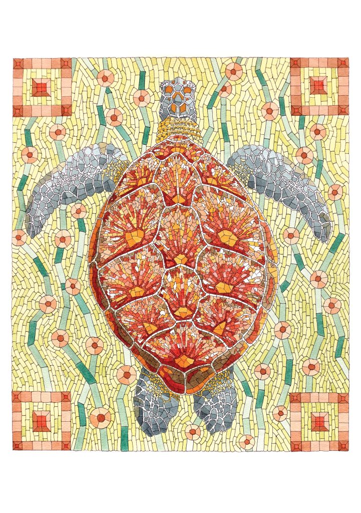 David Cohen: Sea Turtle Notecard