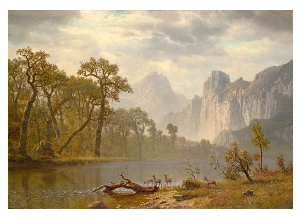 Hudson River School Paintings Book of Postcards - Image 4
