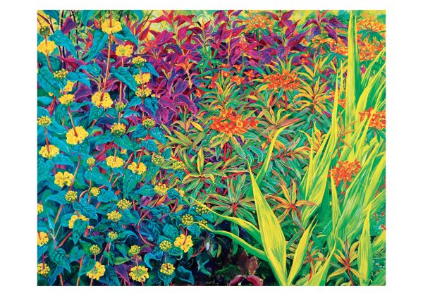 Rosalind Wise: Garden Border Small Boxed Cards - Image 2