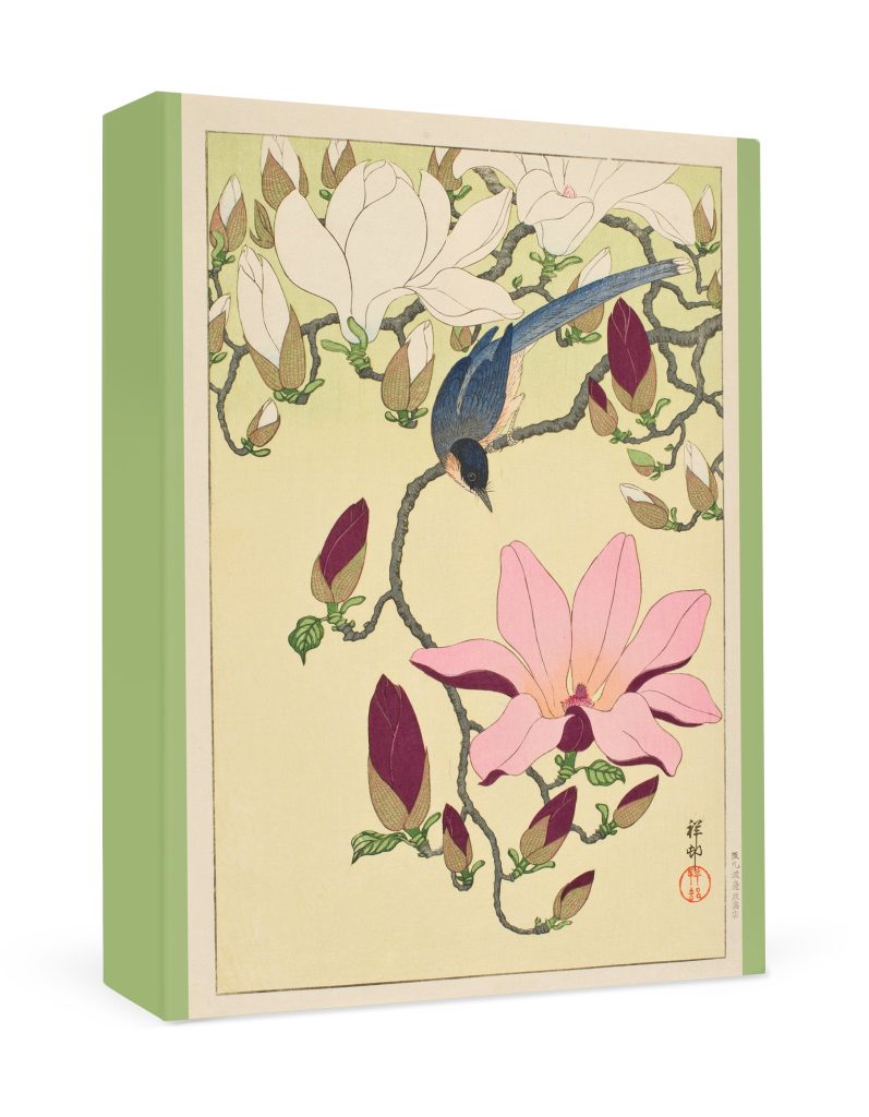 Ohara Shōson: Magnolia and Magpie Small Boxed Cards