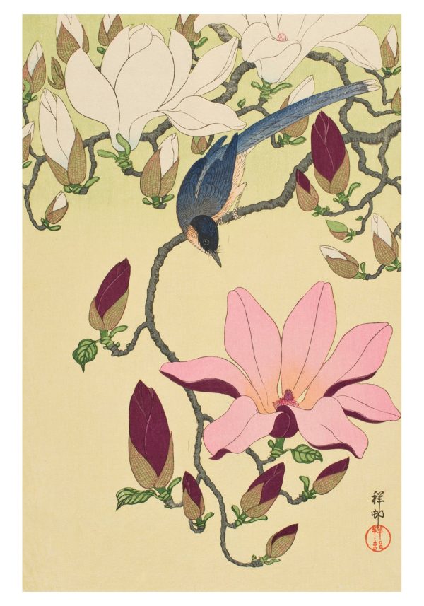 Ohara Shōson: Magnolia and Magpie Small Boxed Cards - Image 2
