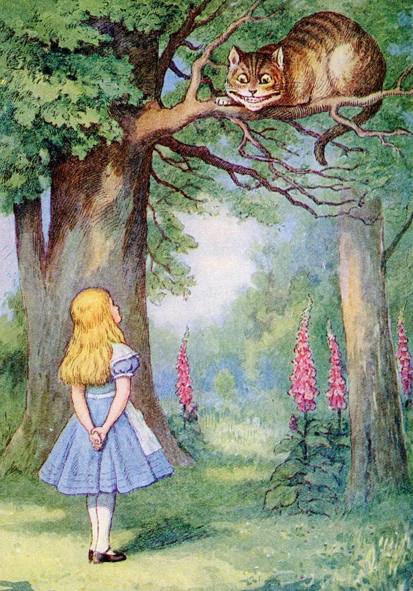 Sir John Tenniel: Alice and the Cheshire Cat Small Boxed Cards - Image 2
