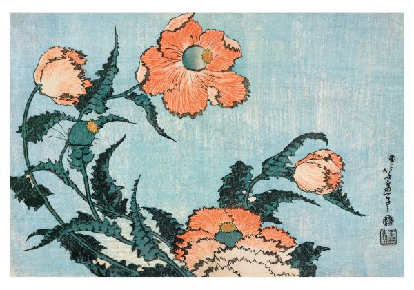 Hokusai: Poppies Small Boxed Cards - Image 2