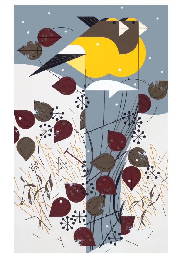 Charley Harper: Birds Holiday Card Assortment - Image 3